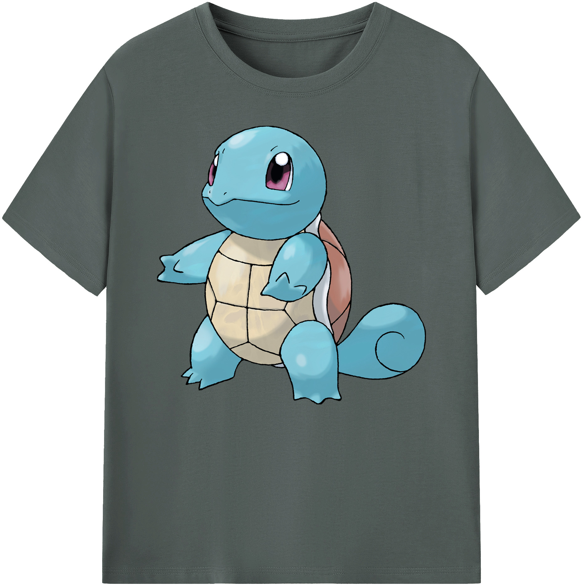 （画像用） ポケットモンスター Pokémon 綿100％ メンズ半袖Tシャツ｜肌触りやわらか＆通気性